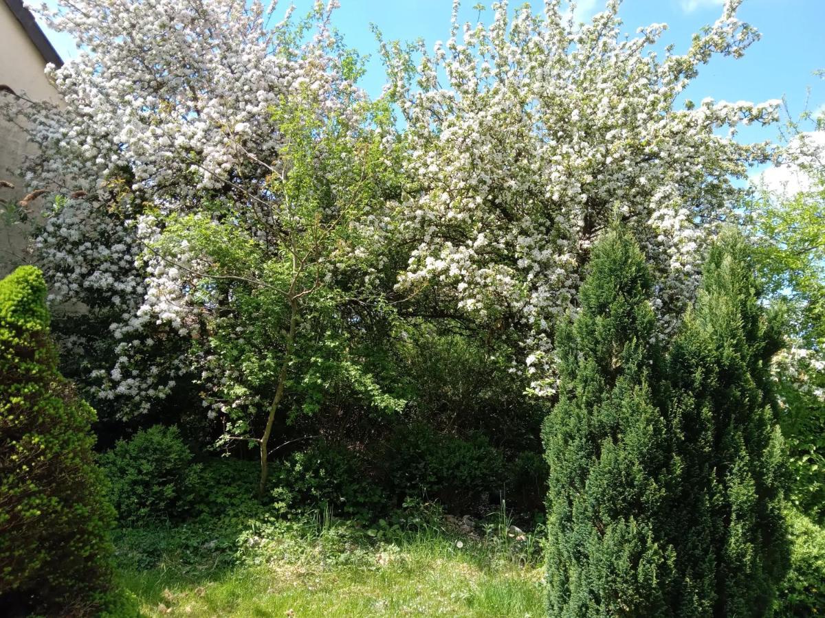 Vakantie Boerderij De Boerenzwaluw Karl Kültér fotó