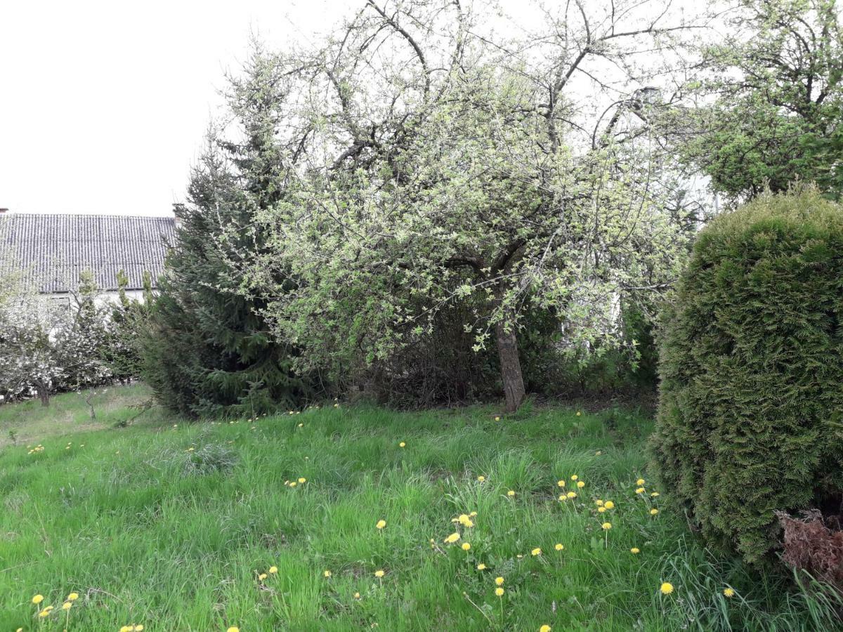 Vakantie Boerderij De Boerenzwaluw Karl Kültér fotó